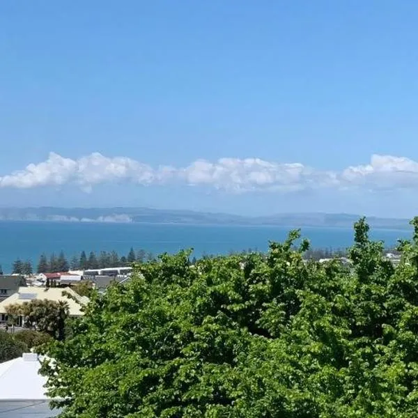 Seaview on Sealy Apartment, hotel v destinaci Napier
