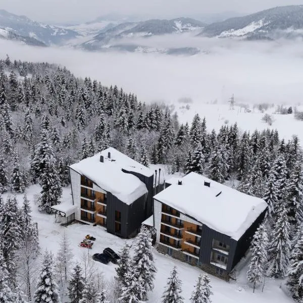 Gоderdzi Twins Hotel, hotel v destinaci Goderdzi