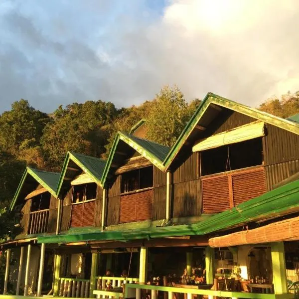 Liberty's Lodge and Diving - Apo Island, hotel v destinaci Dumaguete