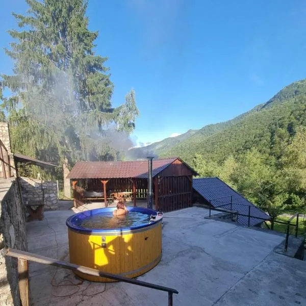 Cabana Floare de stâncă Retezat cu Ciubar in pădure, hôtel à Hunedoara