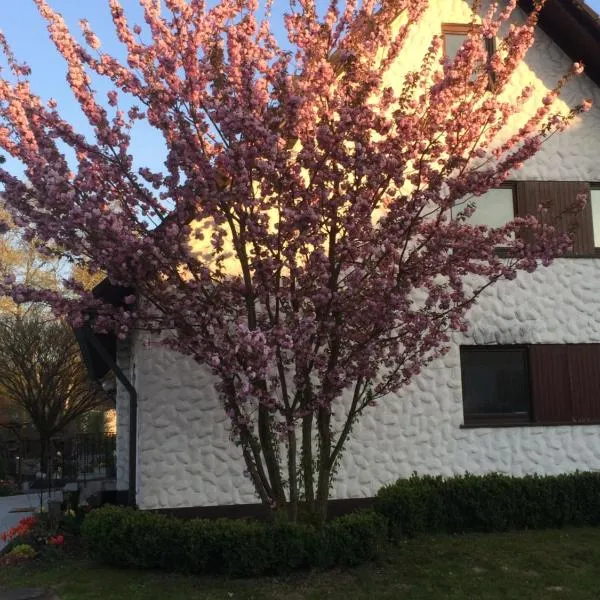 Die Kirsche, ξενοδοχείο σε Achern