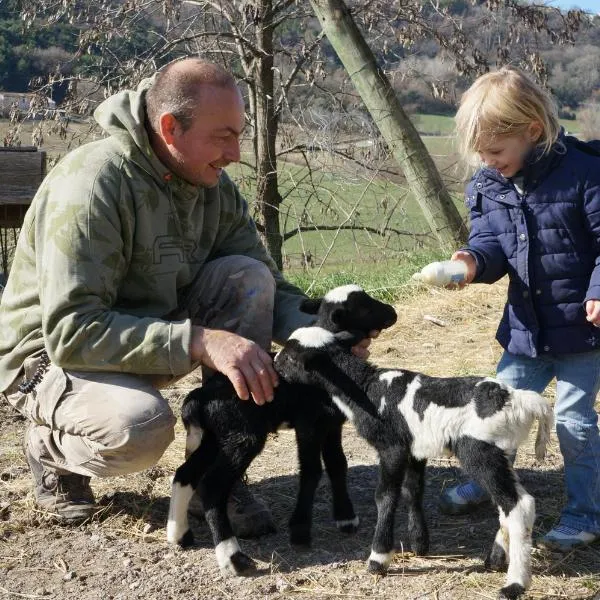 Domaine du Bas Chalus: Forcalquier şehrinde bir otel