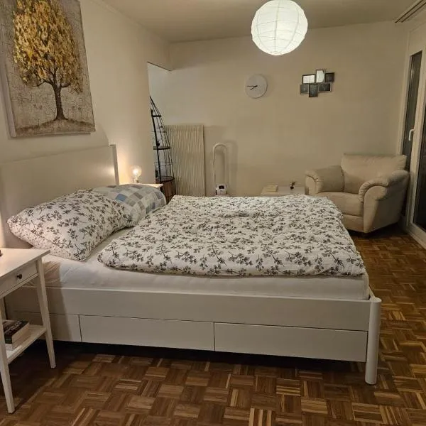 Schöne Wohnung in der Innenstadt, hotell sihtkohas Luzern