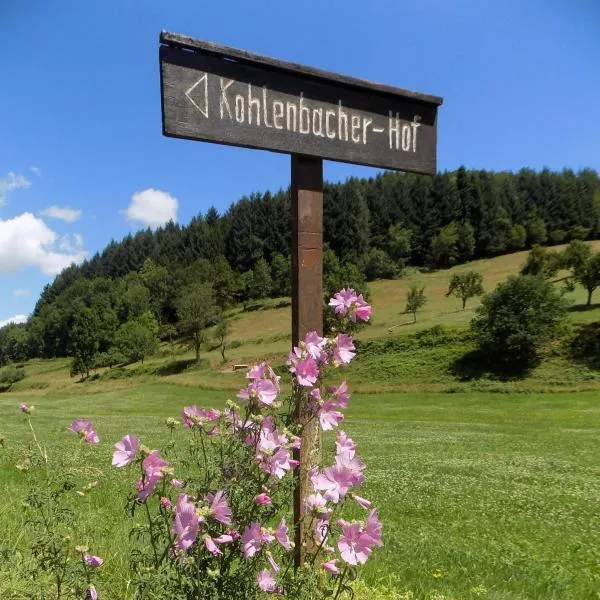 Hotel-Restaurant Kohlenbacher-Hof, hotel v destinaci Waldkirch