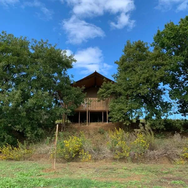 Glamping Podere Angiotto LODGE QUERCIA, hotel in Magliano in Toscana