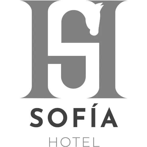 SOFIA Hotel, hotel v destinaci San Miguel Tlamahuco