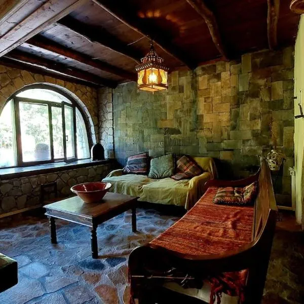 Diving into silence - Traditional Stone House, hotel in Kakópetros