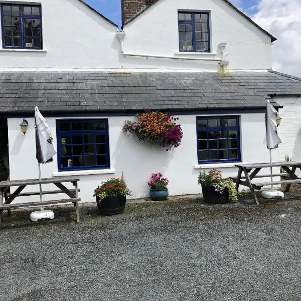 Blue Lion Inn、Lewdownのホテル