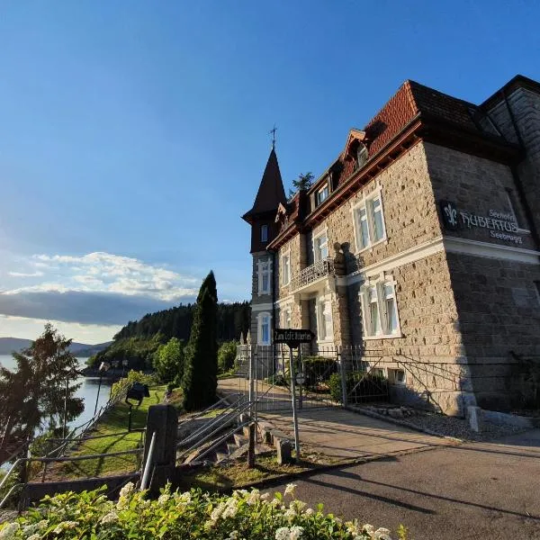 Seehotel Hubertus, hotel v destinaci Schluchsee
