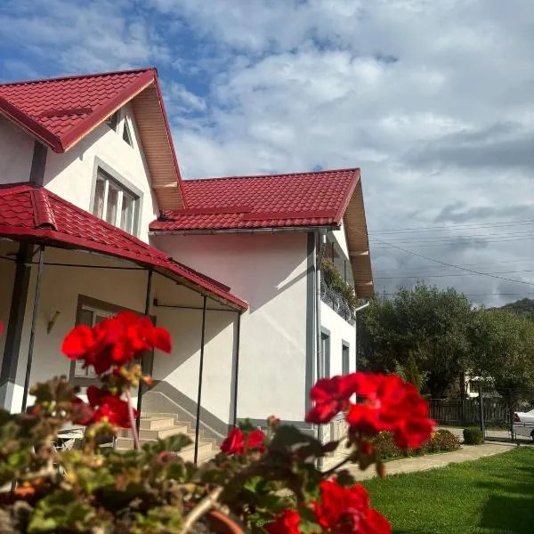 Floare de colt, Hotel in Arefu