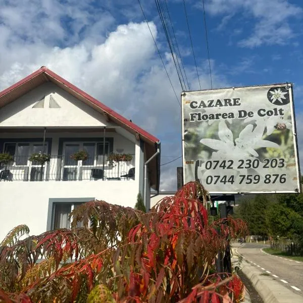 Floare de colt, hotel v destinácii Arefu