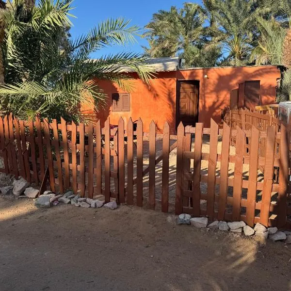 Cozy Camel Studios, hotel en Dahab