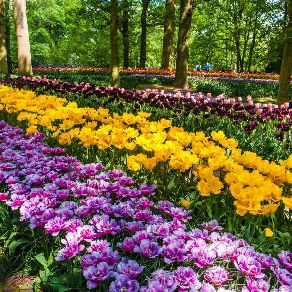 Holiday Inn - the niu, Dairy Haarlem, hotel v destinaci Haarlem