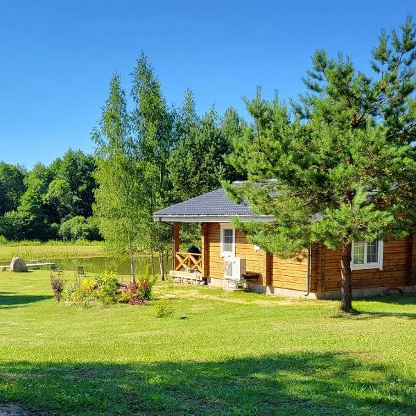 Pine Valley Villa - beautiful nature, jacuzzi, sauna, cozy log house, hotel di Inturkė