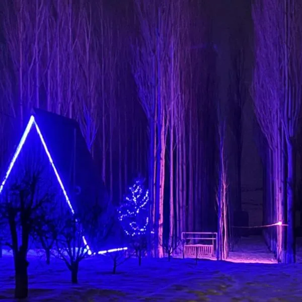 Zovaber hangsti goti, hotel Szevanban