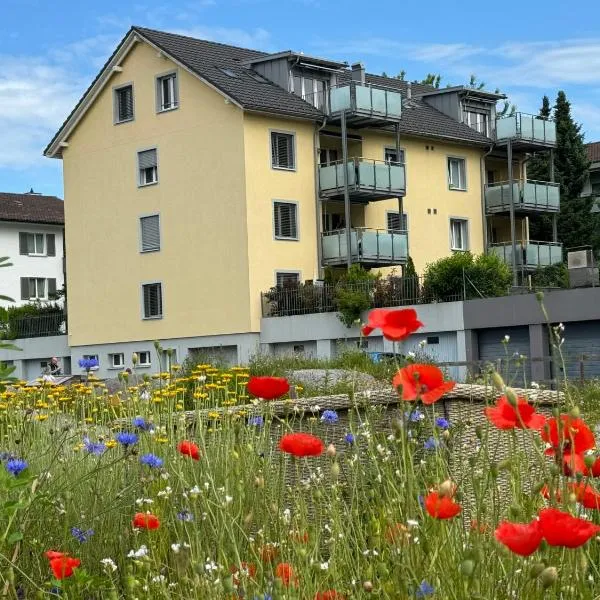 Luxury Sunrise Terrace, 4,5 Rooms FR-22, hotel in Wallisellen