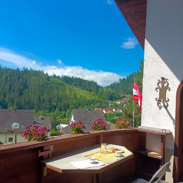 Sepp's holiday apartment, hotel v destinaci Kapfenberg