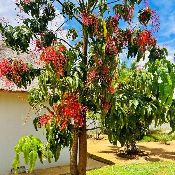 kwamapulaneng guest house, hotel in Matrooster