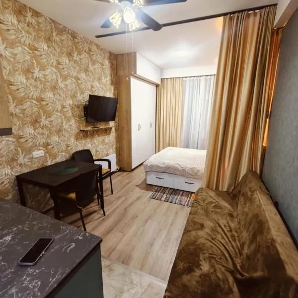 Studio apartment in Bakuriani, hotel v destinaci Bakuriani