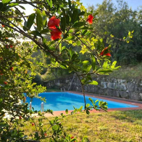 La Melagrana, hotel v destinaci Brisighella