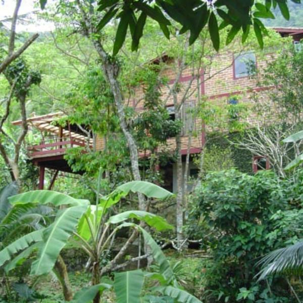 Casa das Árvores