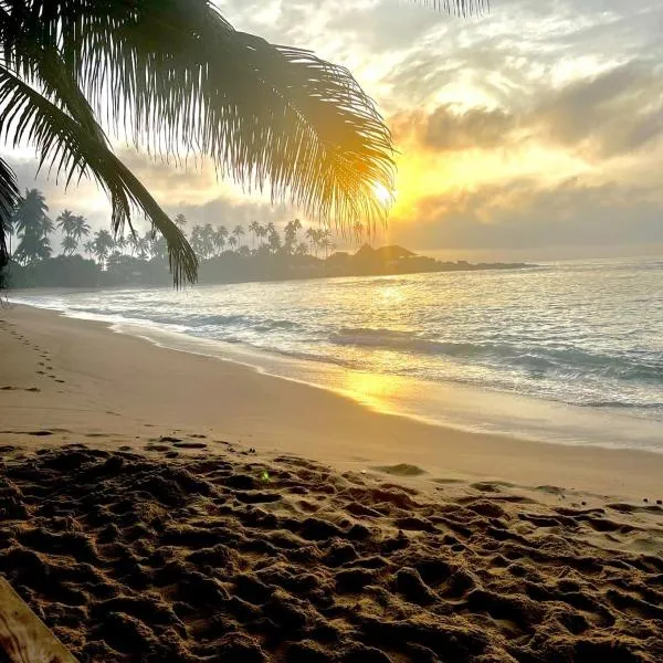 Coconut Palm beach restaurant and rooms, hotel v destinaci Dikwella