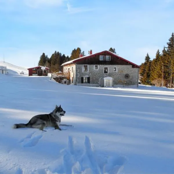 Maison isolée et calme à Septmoncel avec vue sur montagne, hotel v destinaci Septmoncel