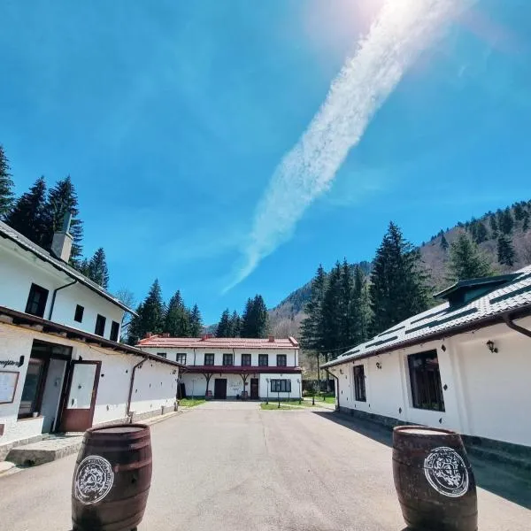 Pensiunea Rhein, hotel v destinaci Azuga