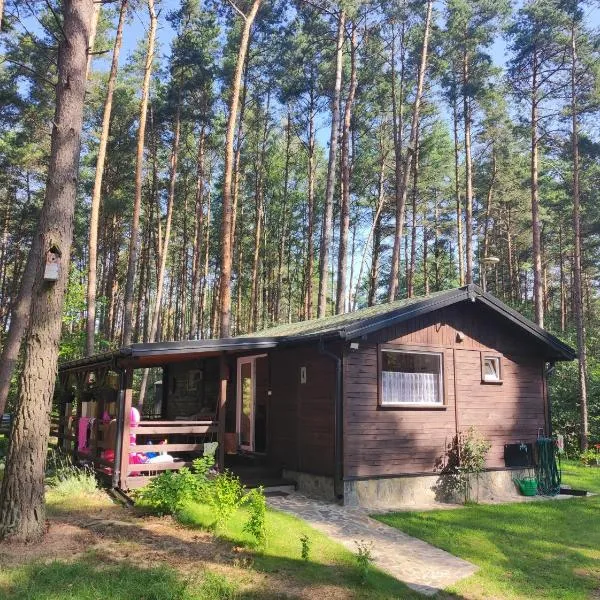 Domek pod sosnami, hotel v destinaci Grodziczno