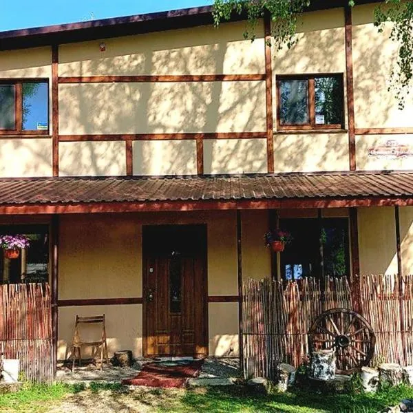 Guest House Pisnya Karpat, hotel in Skole