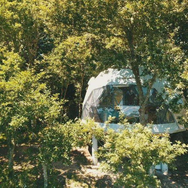 Geodesic Domes with Best Views in Ribeira Sacra、Pinceloのホテル