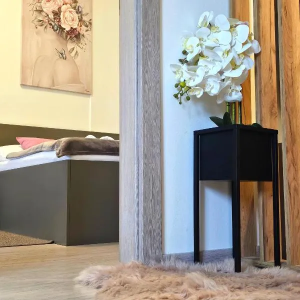 Apartman Iris, hotel v destinácii Karlovac