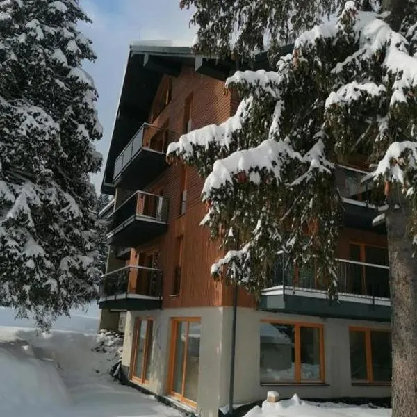 Villa Erdődy Resort - Apartmán U veveričky, hotel i Oravská Lesná