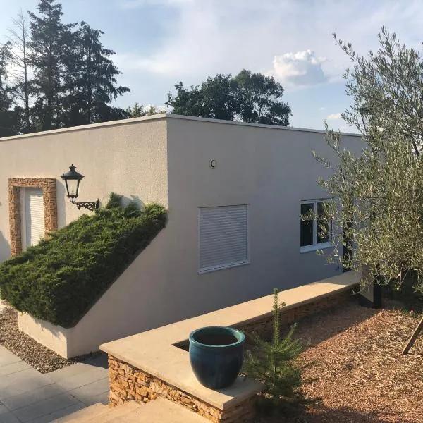 Logement cadre Champêtre, entre ville et campagne, hotel v destinaci Commelle-Vernay