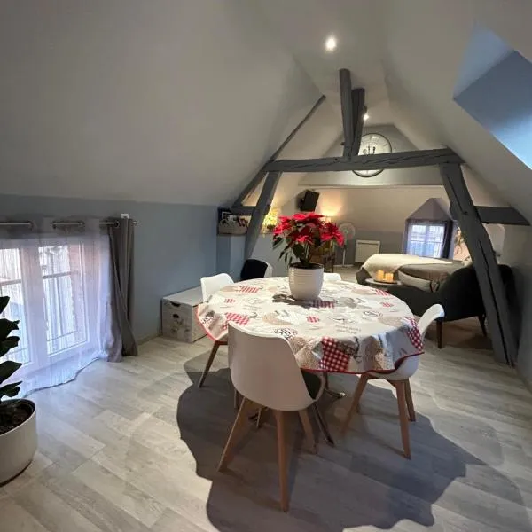 Studio centre ville – hotel w mieście Romorantin
