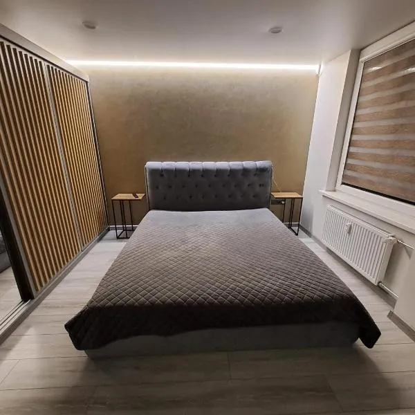 Kėdainiai Alinos Apartamentai, hotel in Kėdainiai