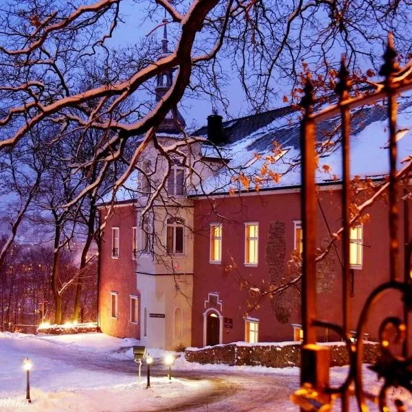 Rezydencja Dwór Górny, hotel in Nowa Ruda