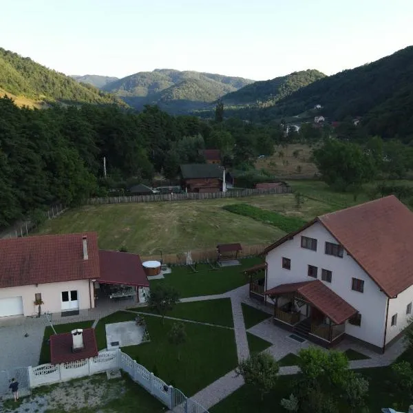 Casa Cecilia、Costeştiのホテル