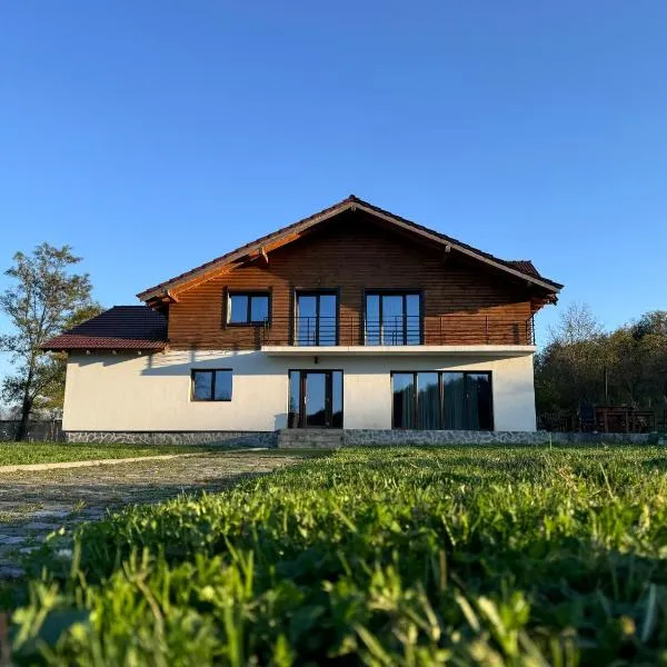 Pensiunea Lili’s House, hotel v destinaci Buchin