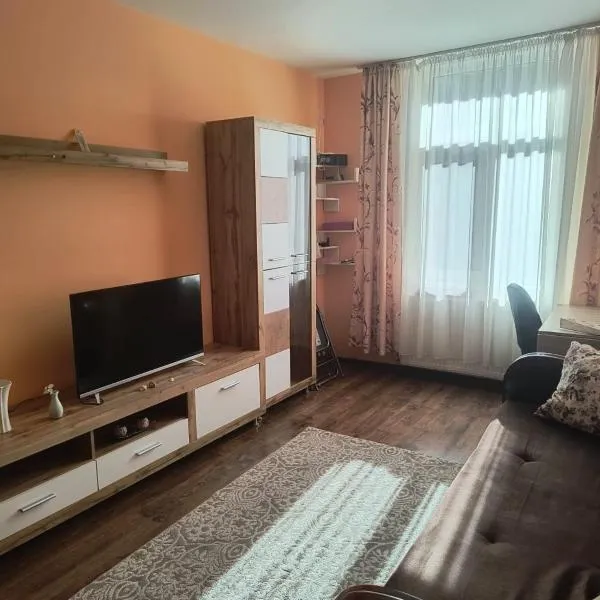 Apartament Gabriela、Vulcanのホテル