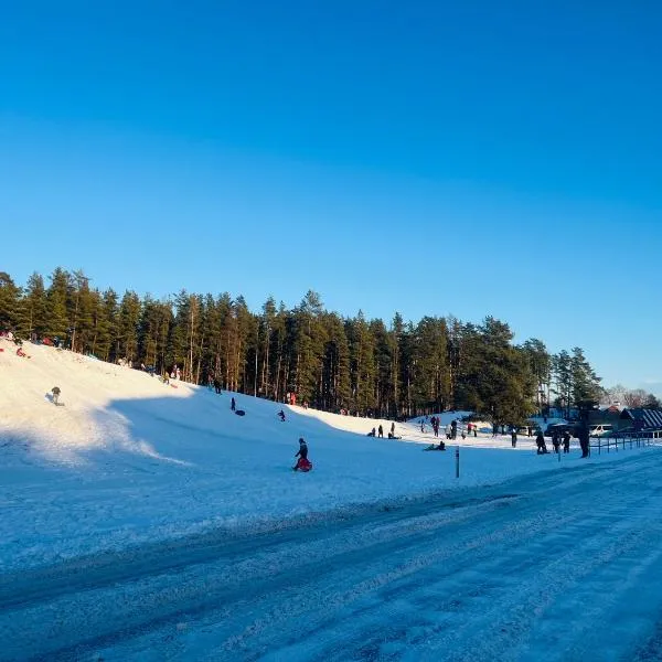 JD apartment, hotel en Ozolnieki