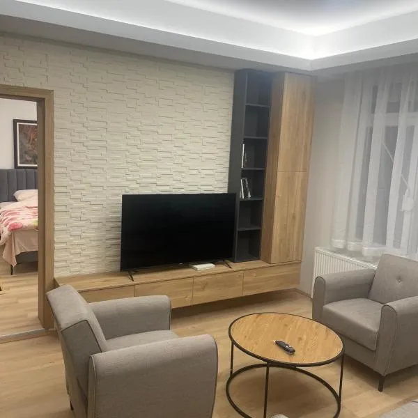 Apartman Dasha, hotel in Brzeće