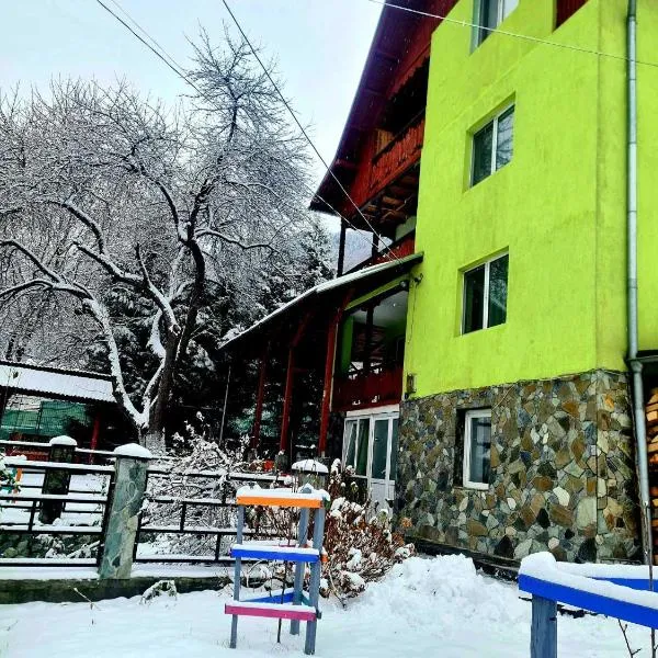 Vila Giulia Voineasa, hotel in Voineasa