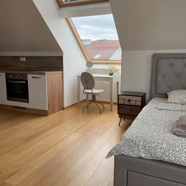 Modern rooftop studio - Terrace, Coffee, Wifi, hotel in Vinohrady