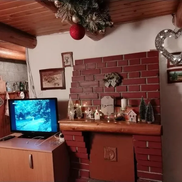 Vila Lara, hotel v destinaci Kopaonik