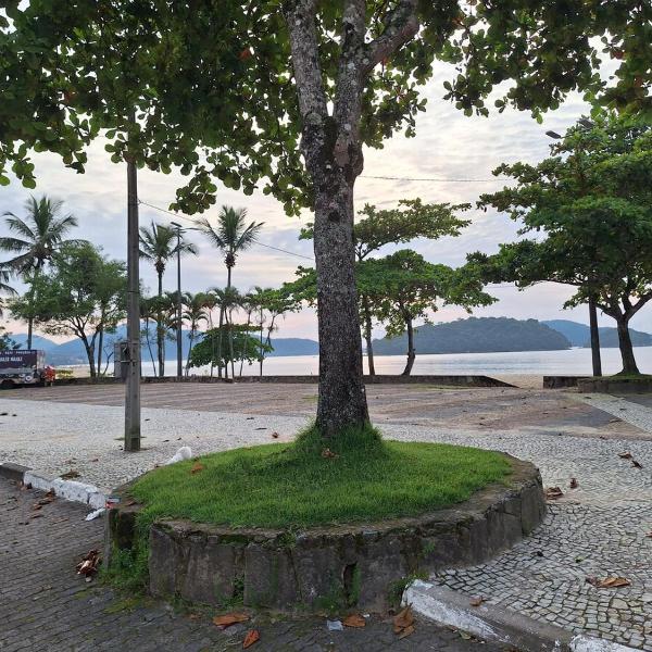 Casa ap cocanha - Foto 4