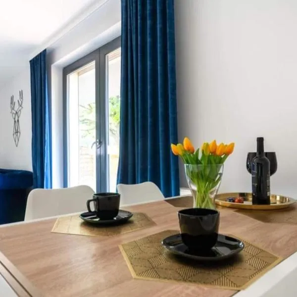 Apartament Ka-Mon w Góry, hotel in Cieplice Slaskie Zdroj