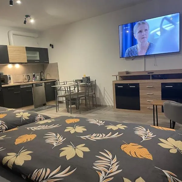 1-room apartment center Rajecké Teplice, hotel v Rajeckých Teplicích