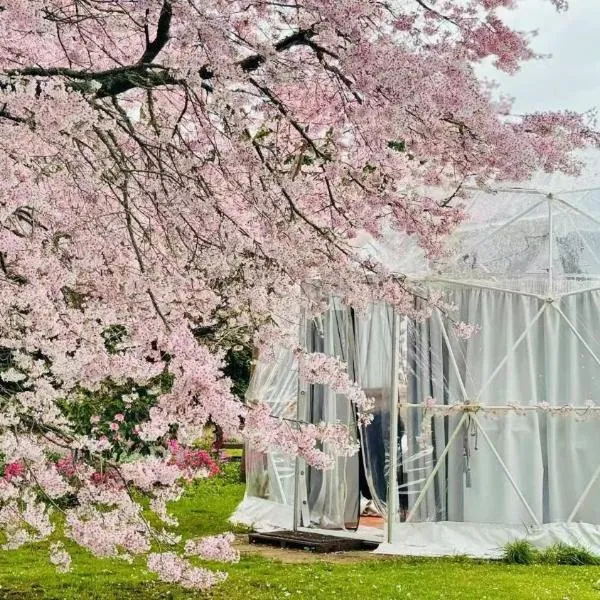 Flowerhaven - glamping dome, hotel v destinaci Hamilton