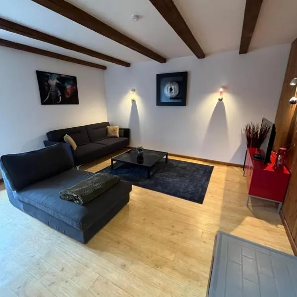 Joli appartement situé à saales, hotel v destinácii Saales